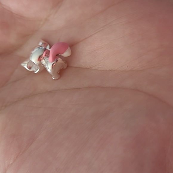 My Best Friend Charm - Picture 5 of 8